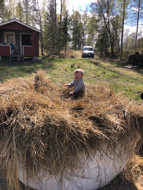 Hector i kolrikt material.